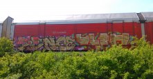 Photo 222245
