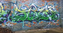 Photo 203568