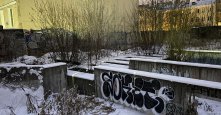 Photo 237204